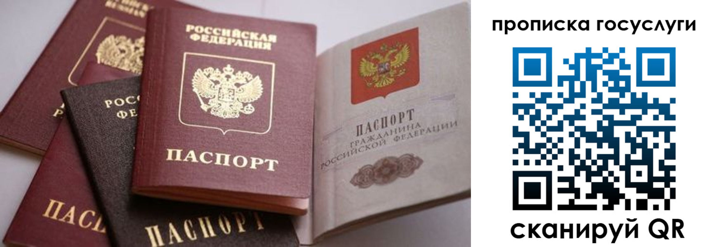 прописка иностранных граждан в Чите