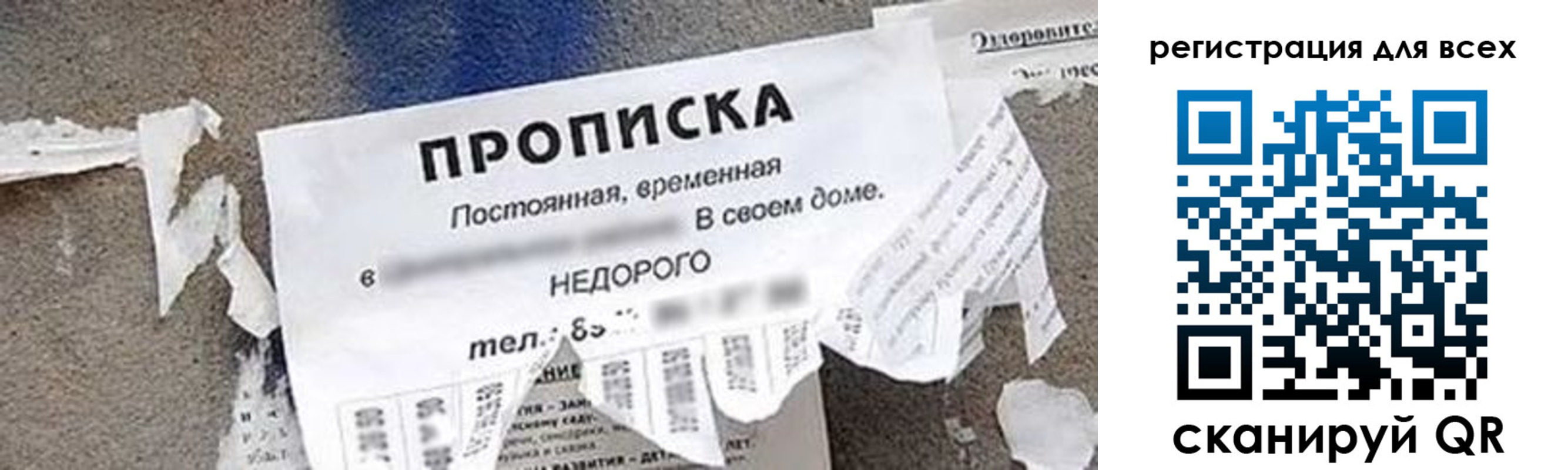 прописка поиск в Чите